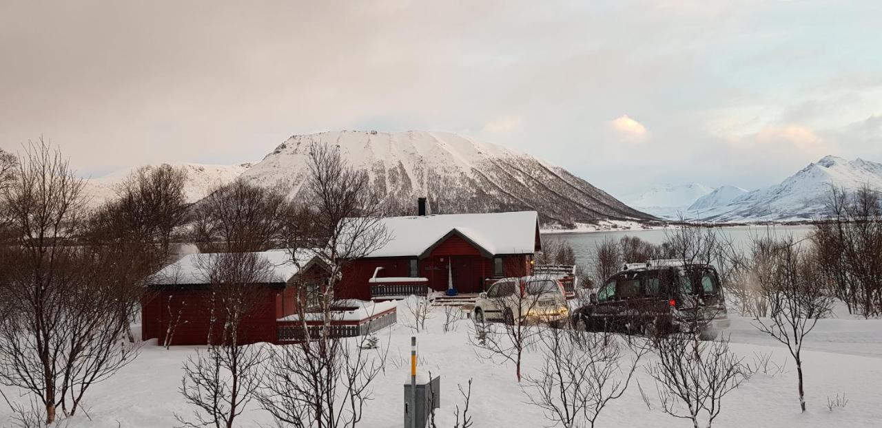 Lykkebo, Skjoldehamnveien 1151, Nygard, Andoy Villa Risoyhamn Eksteriør billede